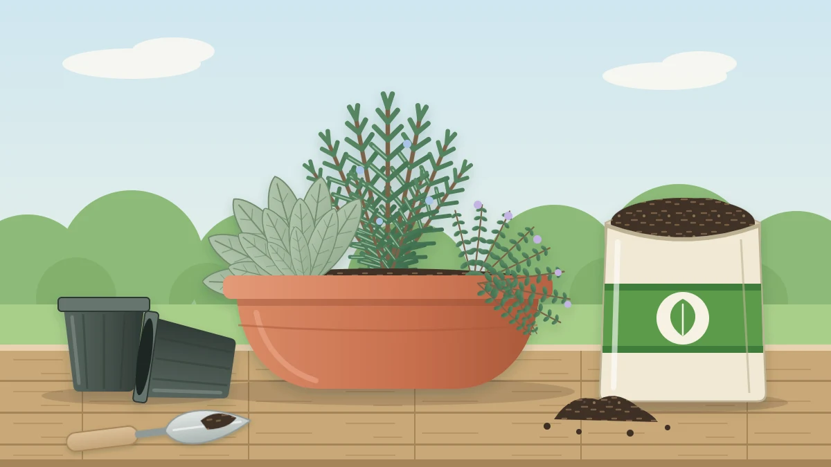 A large terracotta bowl planted with upright rosemary, mounding sage and trailing thyme beside potting mix and a trowel